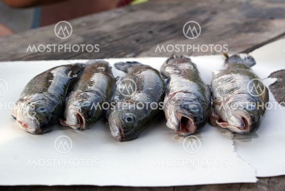 Fresh fish