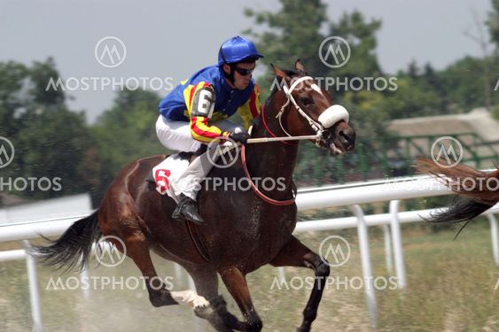 Horse race.