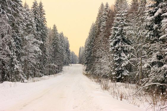 Vinter vej