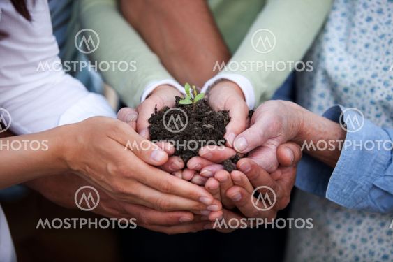 Hands Holding Plant