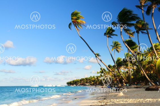 Tropical beach