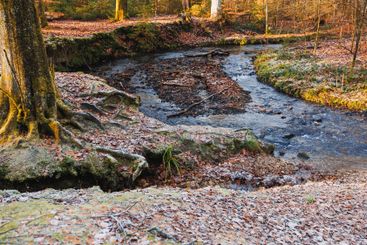 View of a forest river flowing through rocky terrain...