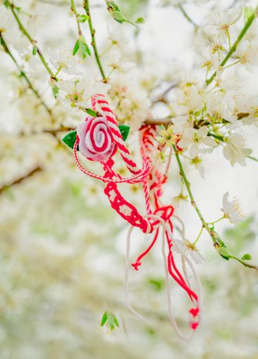 Traditional Martenitsa bracelet tied on delicate...