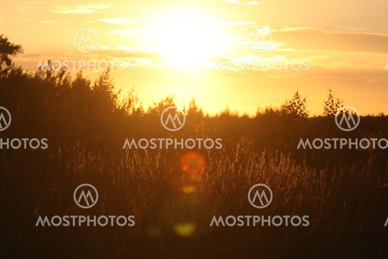 2011-08-16 Sol i Rödby Danmark :