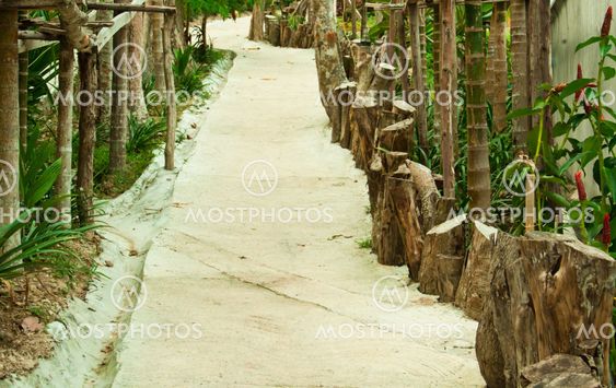 Pathway