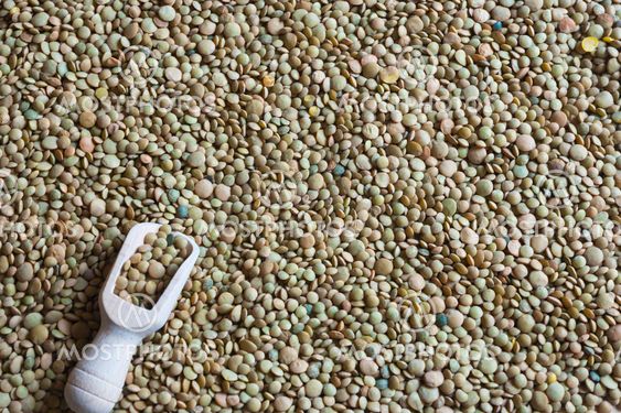 Raw lentil with wooden scooper