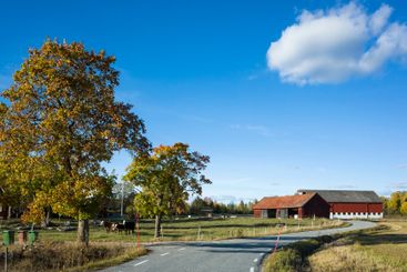 Swedish countryside, Narrow asphalt country road leading