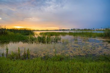 Evening landscape over lake water in southern tropical...