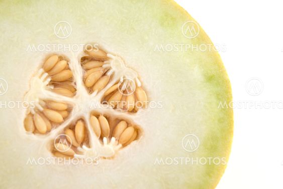 Melon