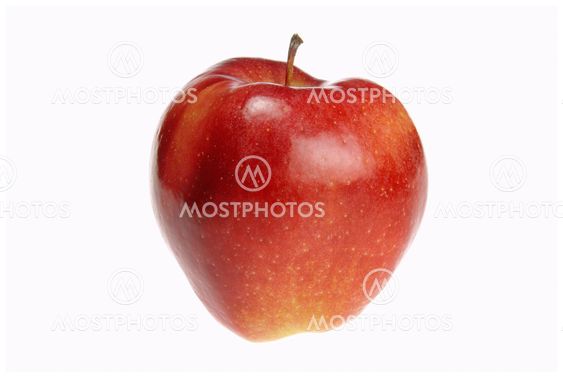 Apfel Gloster freigestellt - apple Gloster isolated 01