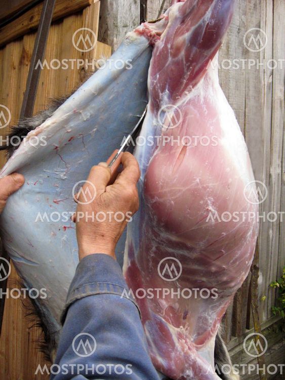 The person cuts meat of a goat