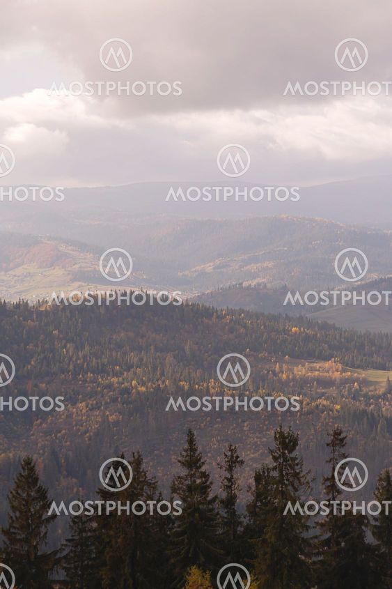 Autumn natural gloomy background cloudy day in the...