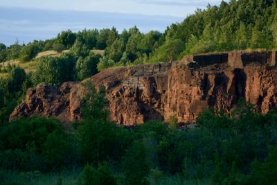 Magic Nature,Living Stone 5.