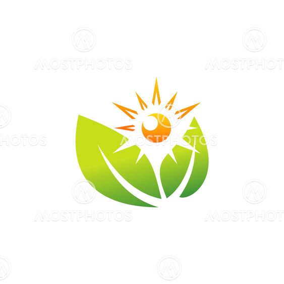 plant,nature, wellness,logo,health,sun,botany, leaf ecology sunlight symbol icon vector design