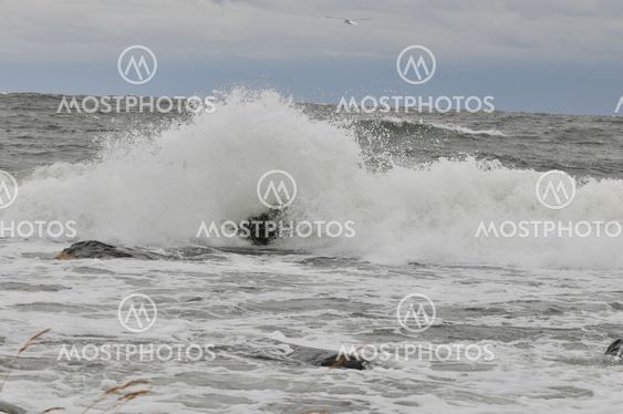 The sea for ...1