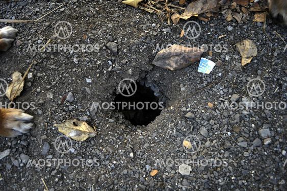 hole