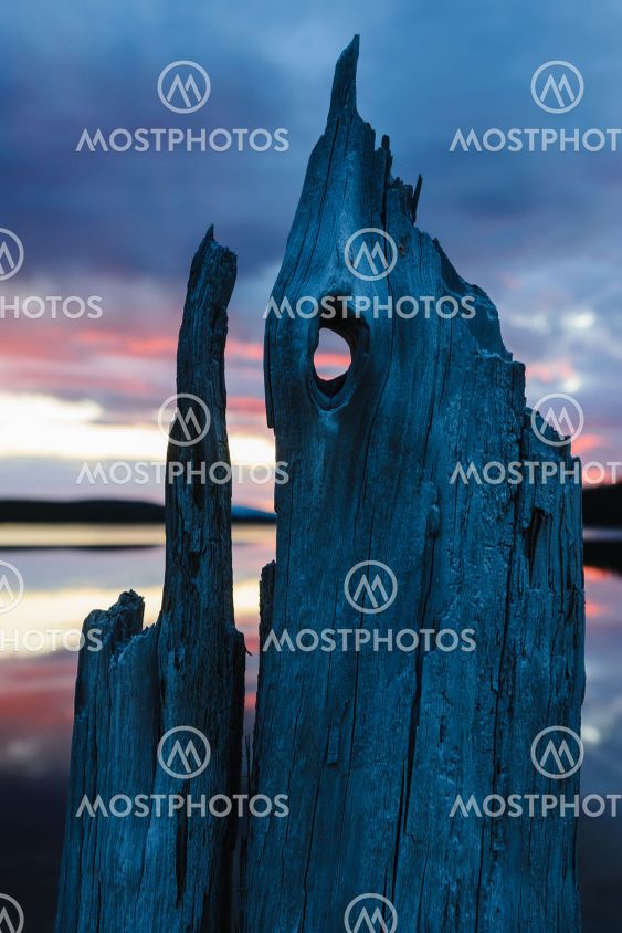 Drift wood in front of lake during sunset