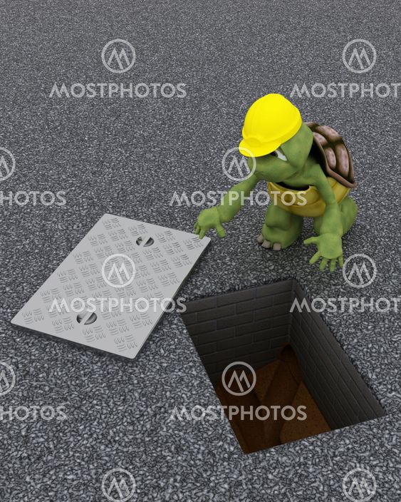 tortoise building contractor