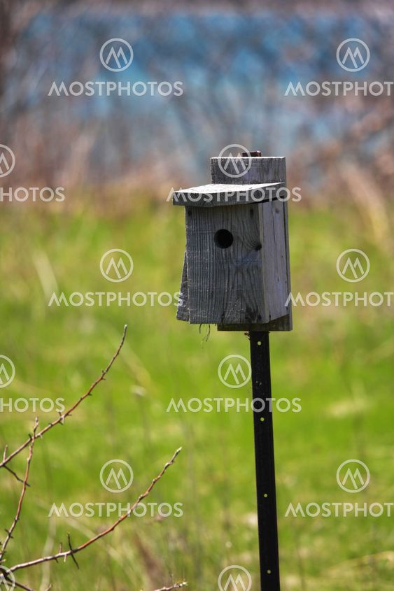En enda Birdhouse