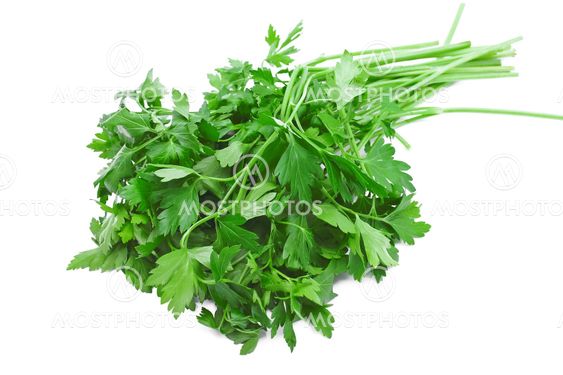 Bunch of parsley on a white background