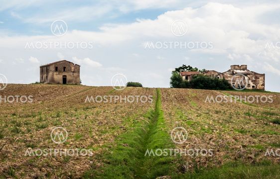 Tuscan Landscape