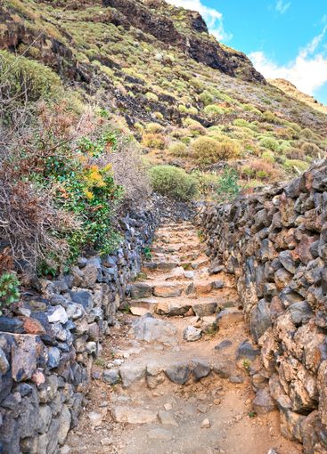Mountain, trail or rocks with steps, natural growth or...
