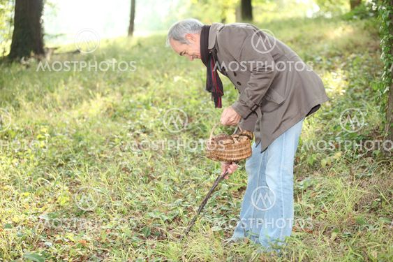 Elderly man in wood