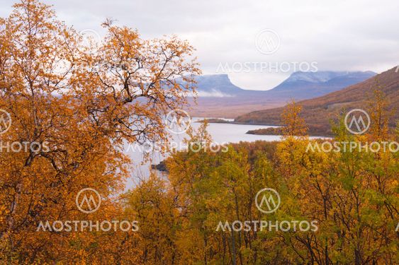 Laporten in Abisko, Sweden