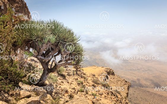 Jebel Samhan, Oman