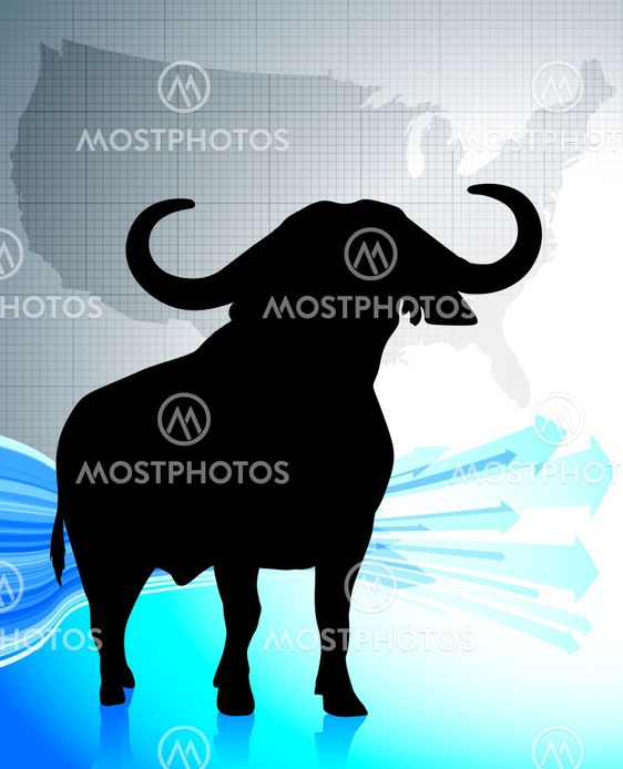 Bull on United States background