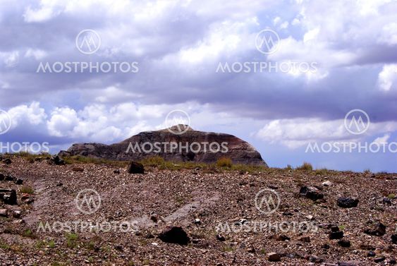 Petrified Forest