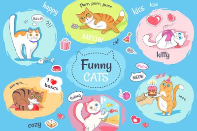 Funny Cats Poster with Images of Everyday Life