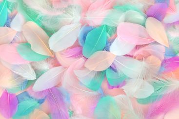 Feather Beauty Abstract Background