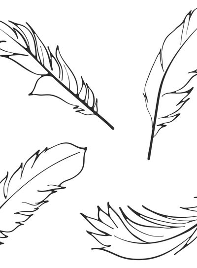 Line art feathers set