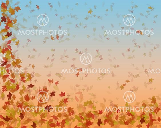 autumn leaves