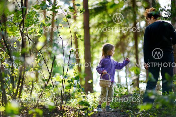 Grandmother and her granddaughter picking berries