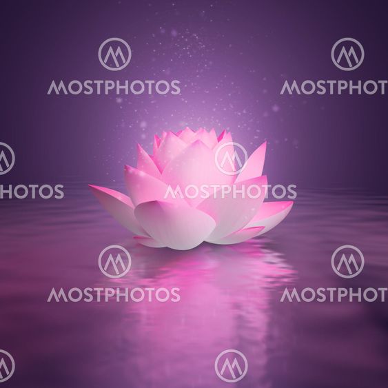 lotus