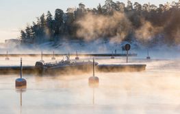 Boat and jetty under fog by forest