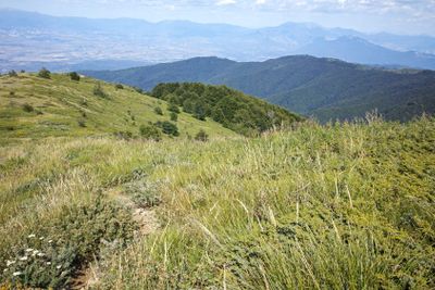 Summer landscape of Belasitsa Mountain, Bulgaria