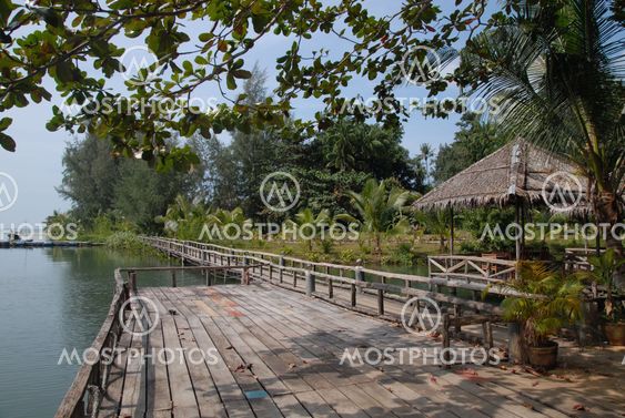 Landscape with wooden walkways