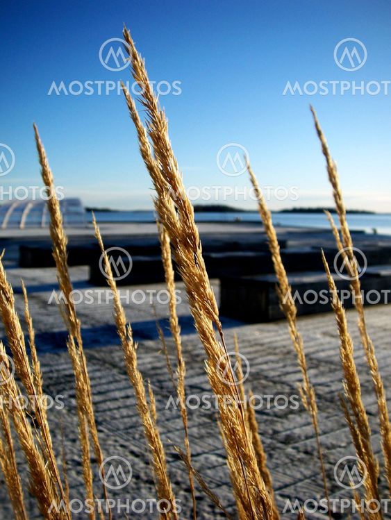 Naturlige