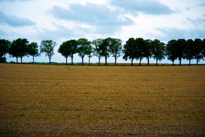 Brandenburger_Chaussee