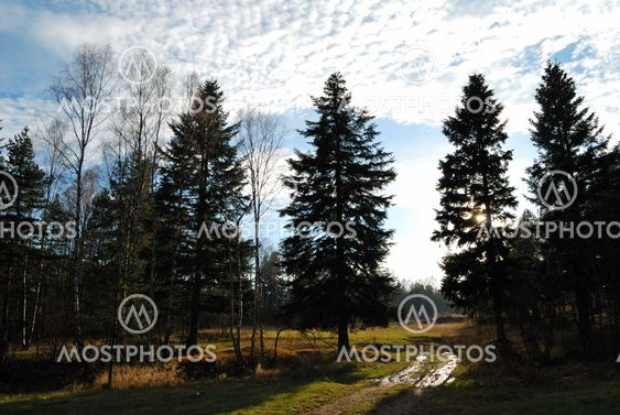 Autumn in countryside