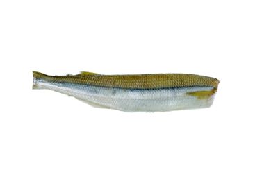 Ready to cook fresh raw european smelt fish isolated on...