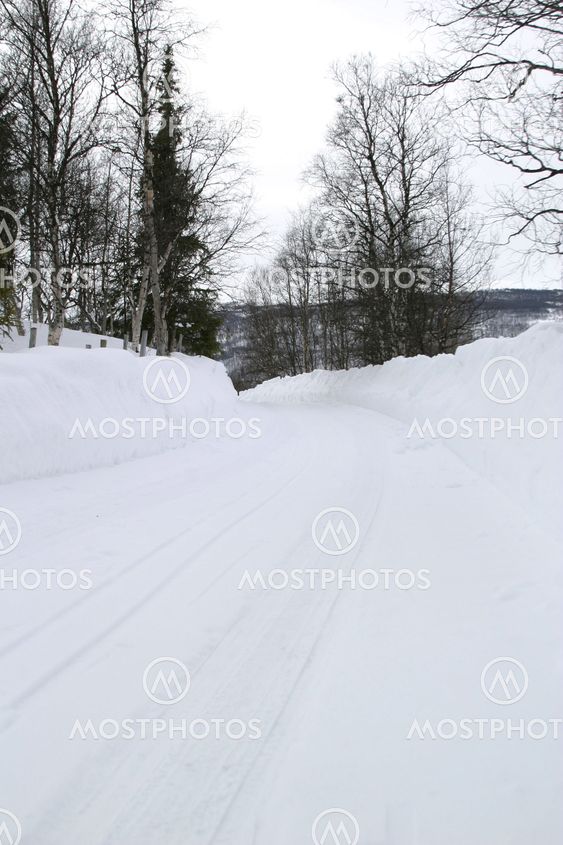 Winter Road