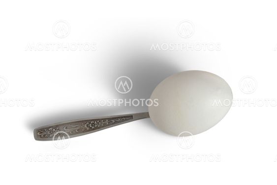 egg