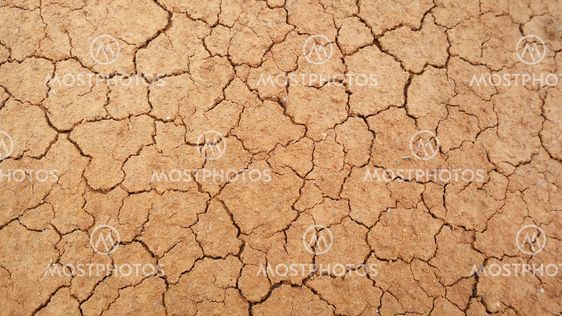Dry soil background
