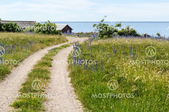 Vägen till Äleklinta sjöbodar på Öland