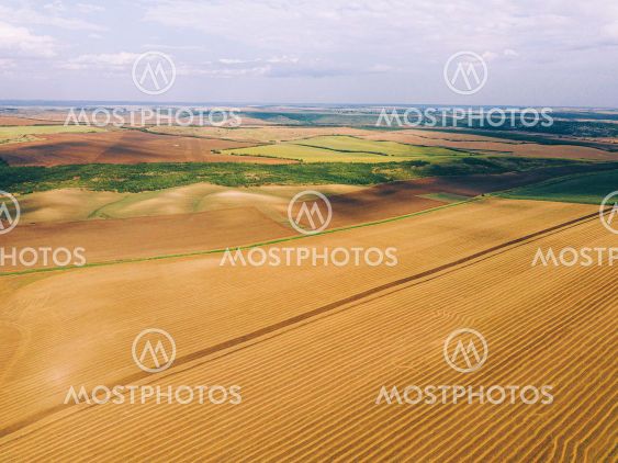Beautiful photo made with drone of amazing crop fields...