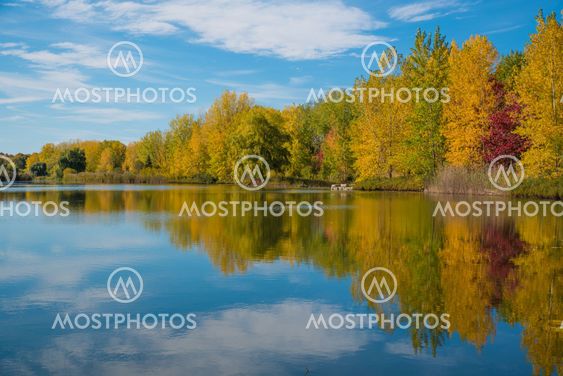 Colors of the fall